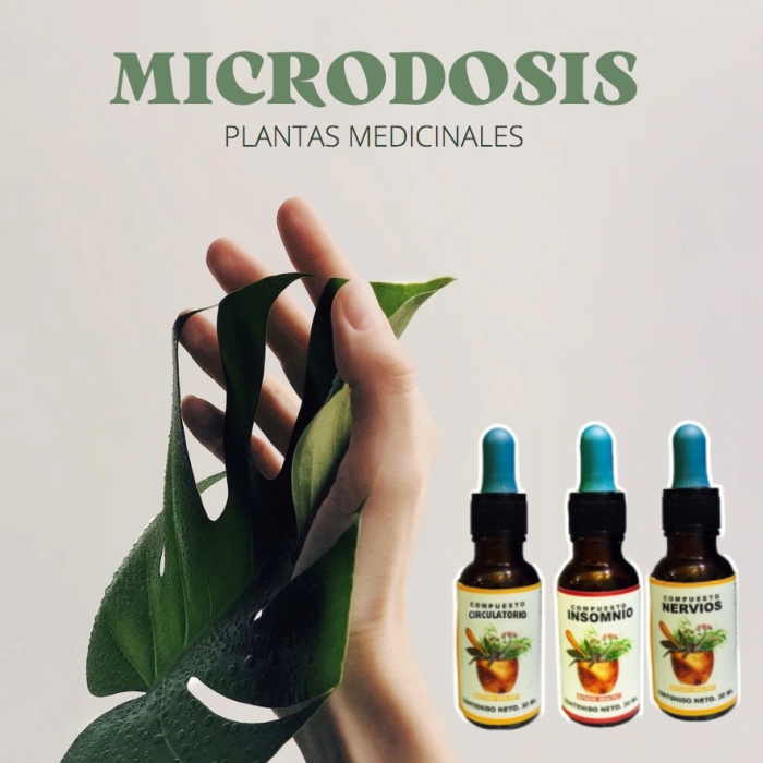 294397525_1996186430570874_4610465416174411135_n